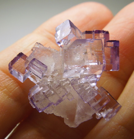 mineralists:Very cool specimen of Fluorite!Tule Mine, Mexico