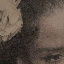 persefonia