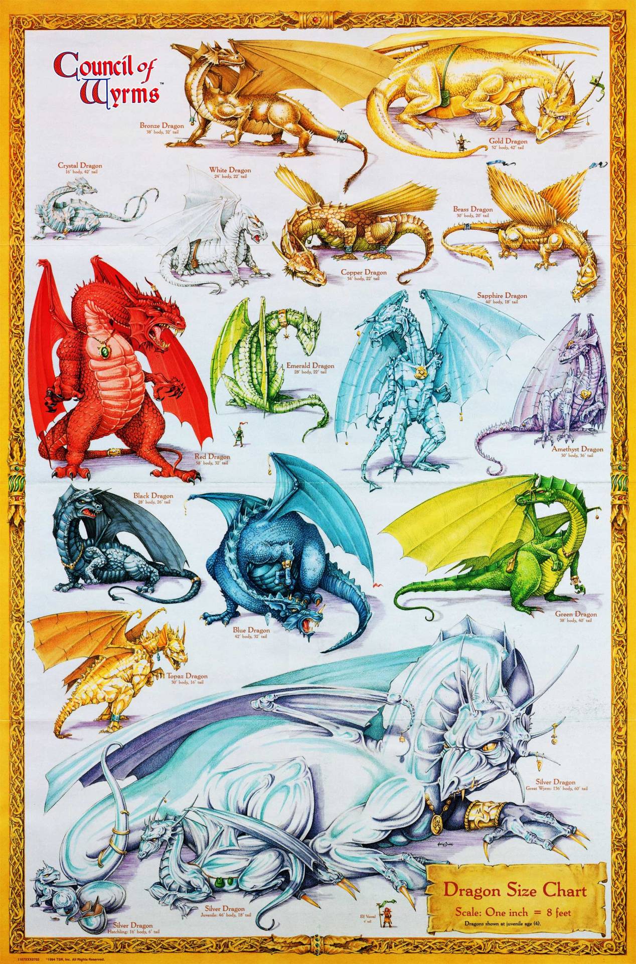 Rare Dragon Chart