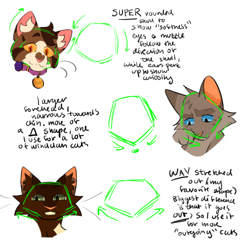 Do You Have Any Tips For Cat Face Shape?? I Struggle To Imagine Anything But Circle