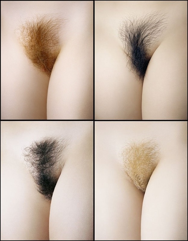 bush-rat-heaven:  instahairygirl:  seeker-of-dreams:  Shame the blonde pussy is bleached