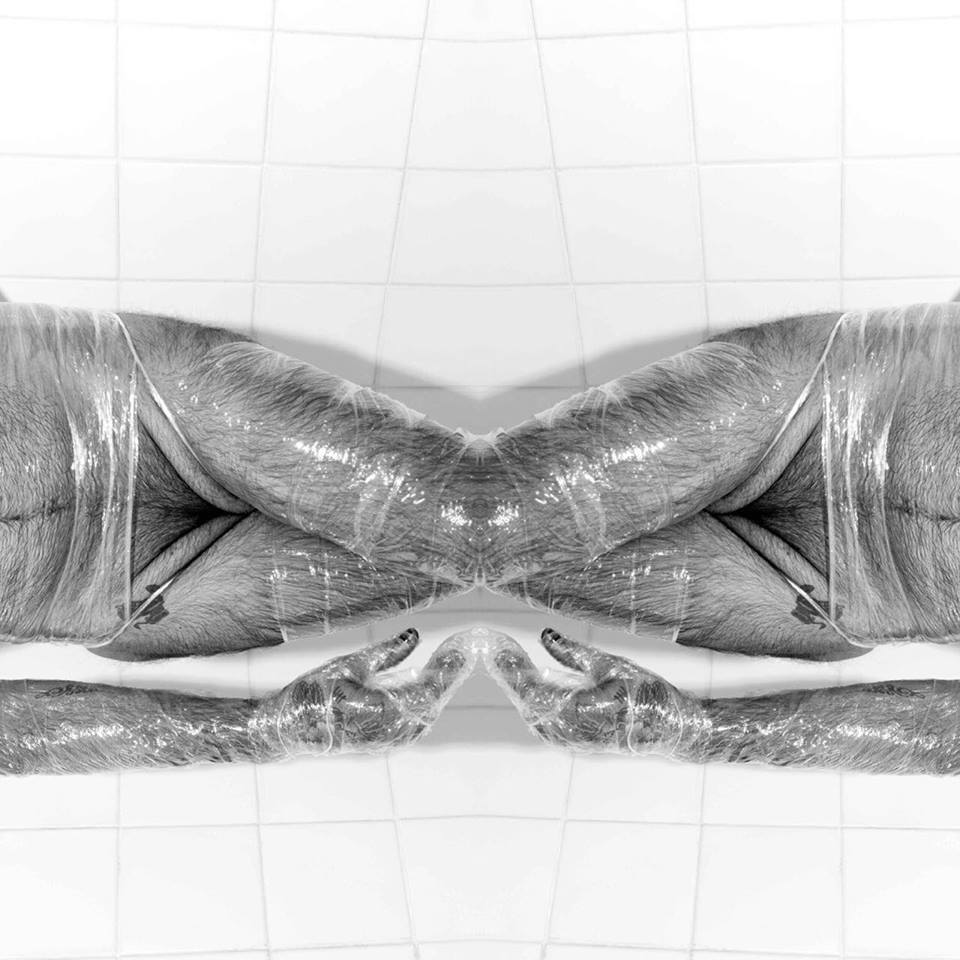 left-front-art:  ElNiño Sillon 