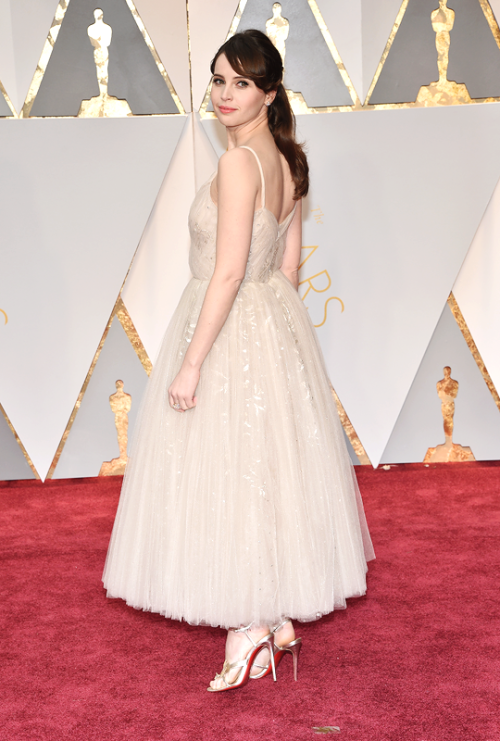 Felicity Jones attends the 89th Annual Academy Awards at Hollywood &amp; Highland Center on February