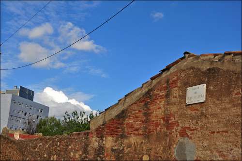 basilepesso:Popping up, Above #16(On the Other Side of the Wall #223 / Juan de Avila)Syd Matters, A 