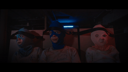 heybradwhatsup: PUSSY RIOT “POLICE STATE”