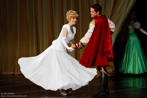 kinkyprincesskittyslut:  fuckyeahdisneyfacecharacters:  Cinderella’s Gown Changes Color to match your blog! photo source  So much fun! 