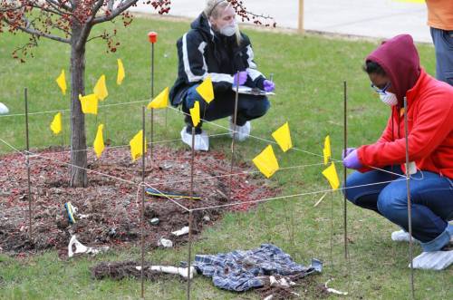 cmuniversity: CMU students were given a chance through a forensic anthropology class to investigate 