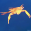 ghoulish-glory: canimuff: there are 4 planets in retrograde right now plus a full
