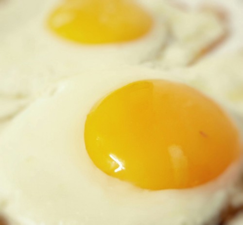 j-yf:  7.달걀 아내가 낳아준 달걀. adult photos