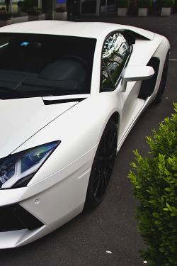 the-absolute-best-photography:   affluence-de-la-vie:source