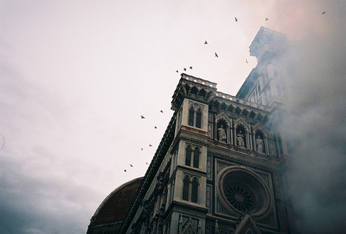 austellus:  Confused Pigeons by moniko moniko on Flickr. 