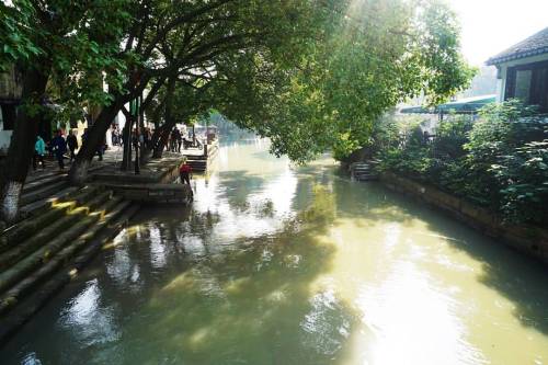 Parece a una escena de cuentos mágicos | Looks Like a scene from a fairytale #苏州 #同里 #中国 #快乐老