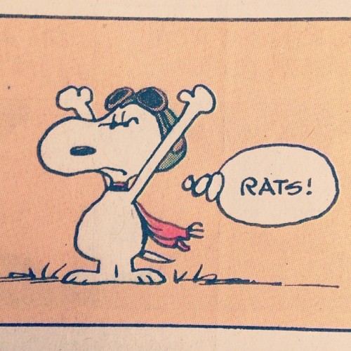 survivalrevival: A special thanks to Snoopy for interpreting what I look like when attempting to fly