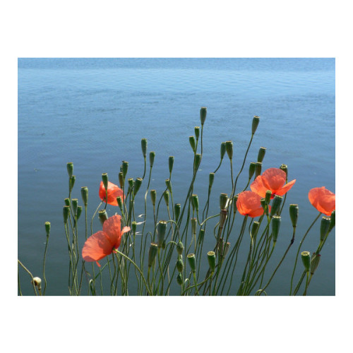 Tumblr (clipped to polyvore.com)