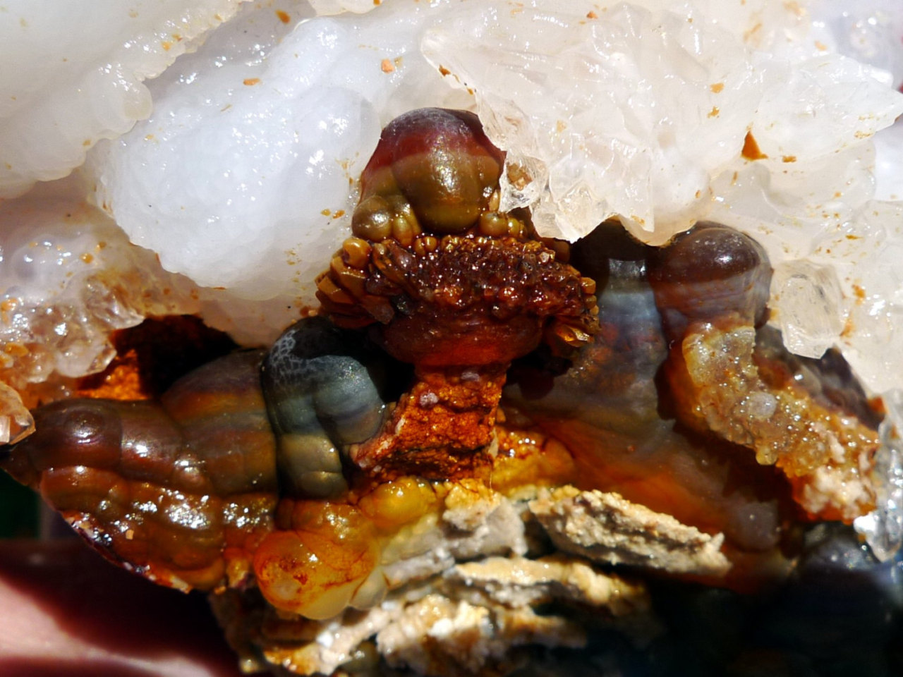 mineralists:  Fire AgateSources: https://www.etsy.com/shop/49erMinerals, https://www.etsy.com/shop/ArizonaFireAgate, https://www.etsy.com/shop/Kyanitecluster, https://www.etsy.com/shop/PlanetOpal, http://www.ebay.com/usr/ming*j