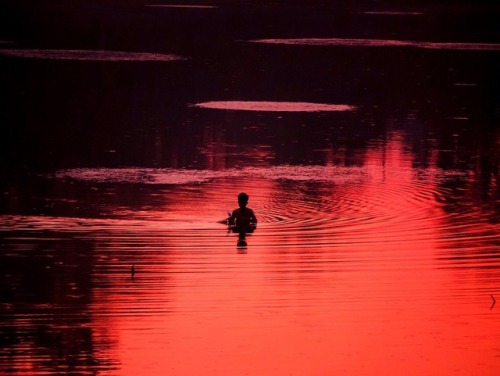 archaeheart: one of life’s better sunsets // Angkor, Cambodia