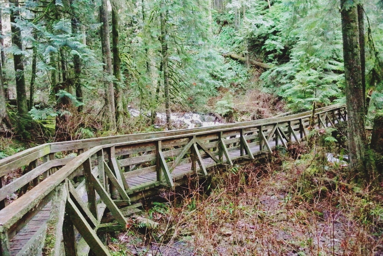0nism:  Took advantage of the sunny break, got a little muddy and hiked 10km through