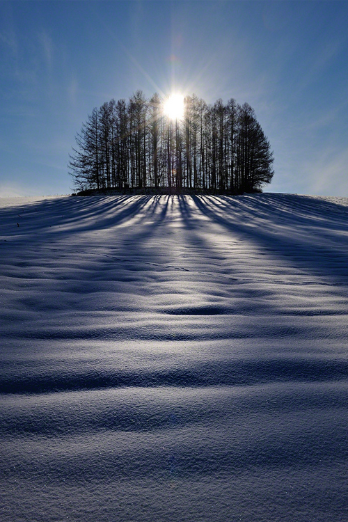 The Sun & Shadows,Hokkaido | By Kent Shiraishi