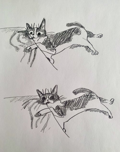 Porn photo connordraws:drawings of my cat(s) (1)