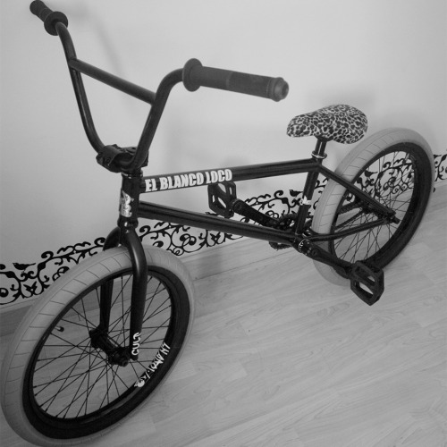 panshewas:  In love with my new bike and the bone deth vibrator seat is totally awesome 
