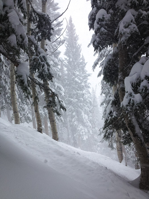 pushingthebuttons:  Breathe it in. Park City, Utah - February 2014