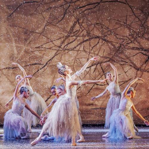 andantegrazioso:Winter ballet | bhamroyalballet