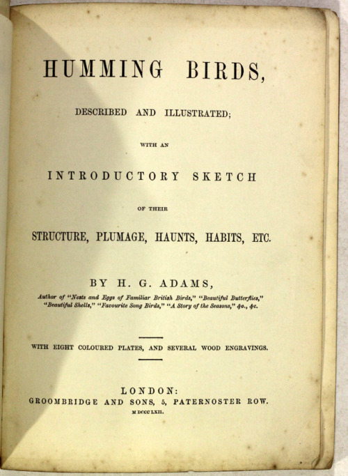 michaelmoonsbookshop: Humming Birdsdescribed and illustrated with an introductory sketch of their St