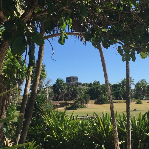 traveltone:  Jungle View - Tulum ruins.
