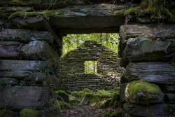 90377:   Window in the woods by Andrew Kearton  