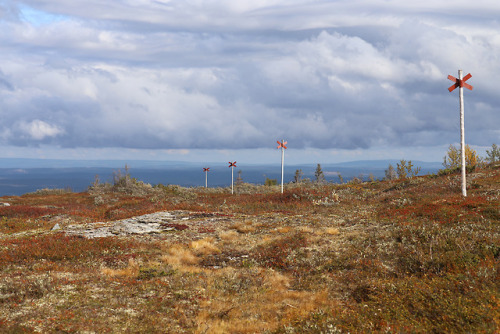 Enjoying the view from Välliste in Jämtland, Sweden.