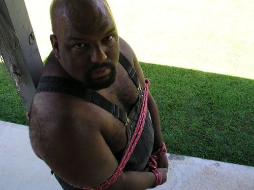 topblkdawg:  smutters:Ruff Bear.  More Ruff Bear: http://smutters.tumblr.com/post/24579558889/david-is-a-bit-of-ruff He soooooo sexy I want fuck him bad