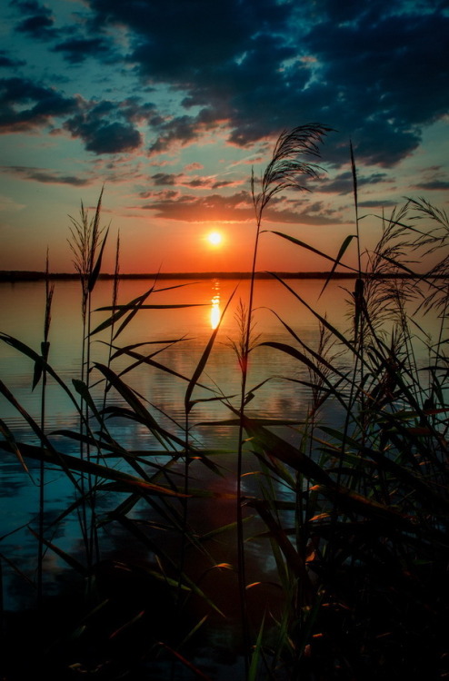 XXX magicalnaturetour:  Sunset on the lake 2 photo