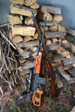 Gunrunnerhell:  Semi &Amp;Amp; Boltromanian Psl Next To A Mosin Nagant 91/30 Pu Sniper