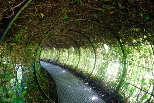 Alnwick Gardens - The Poison GardenThis garden is accessible by guided tour only, as it houses only 