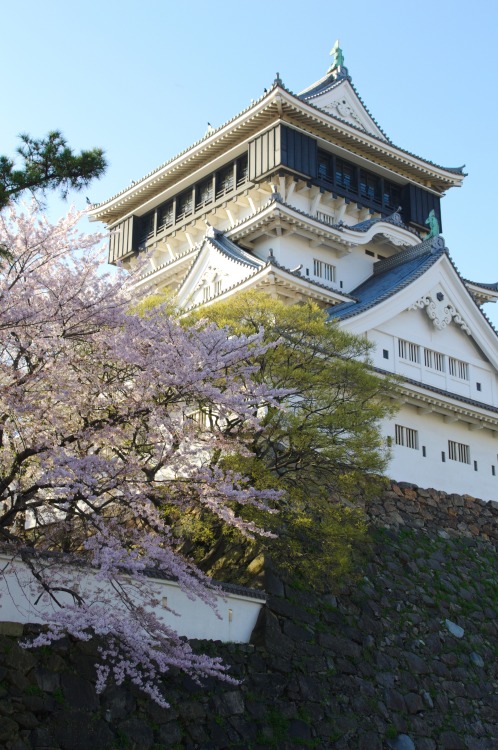 willee-i-am:Kokura Castle, Kitakyushu.