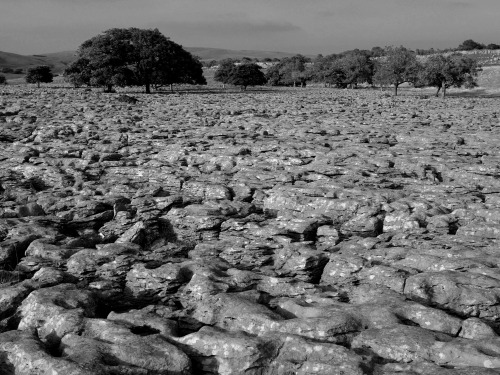 The limestone pavement at Ingleborough, North Yorkshire, 15.8.16. I took advantage of the great weat