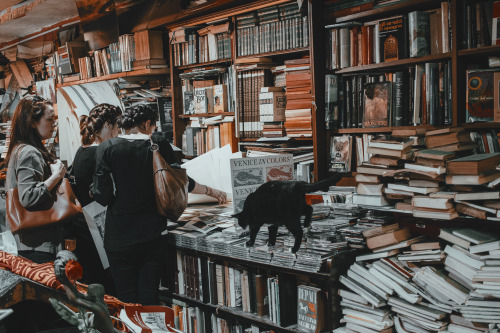 rachaelanthoney:0306; Libreria Acqua Alta – Venice