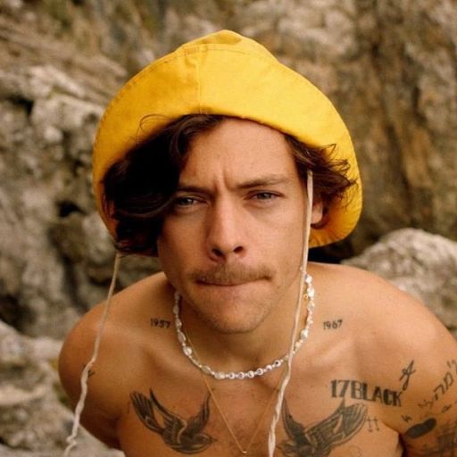 harryxzayn:  nice 