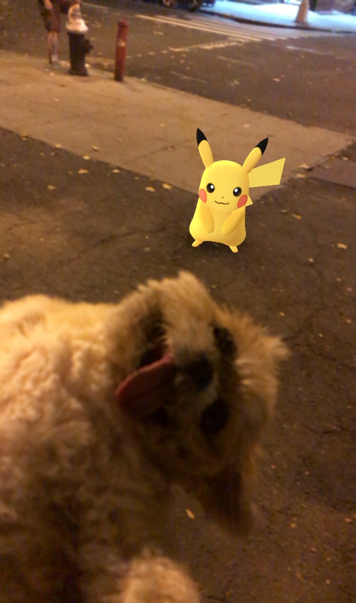 marniethedog:  Omg 