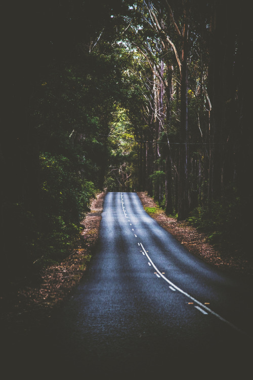 lagunavibe:Long Mountain Road