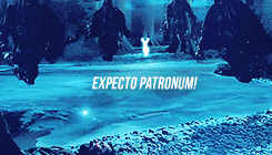  “Only a really powerful wizard could’ve conjured it” 