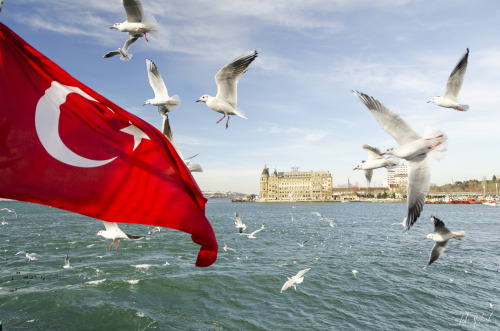 - Kadıköy, IstanbulThe Turkish flag blowing in the breeze with the historic Haydarpaşa Train station