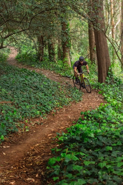 Mount Sutro Pictures by Mike Martin