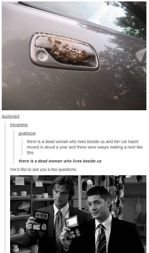 itsstuckyinmyhead:  The supernatural fandom needs some love after all this crap. 