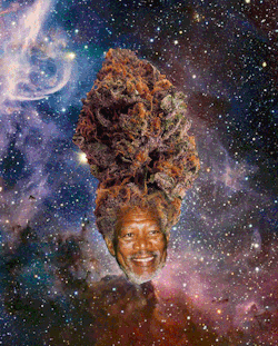 Ianlikesdrumz:  Now Lets Take A Look At The Universe 