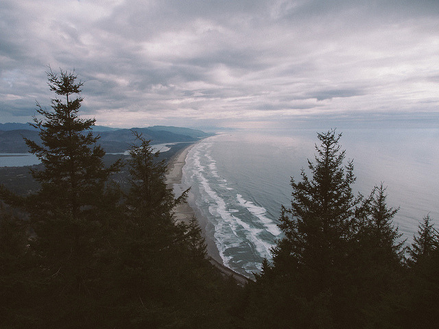 englishsnow: Saria Dy