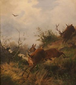 art-and-things-of-beauty:    Carl Friedrich Deiker (1836-1892) - Fleeing red deer, oil on canvas, 60 x 52 cm. 