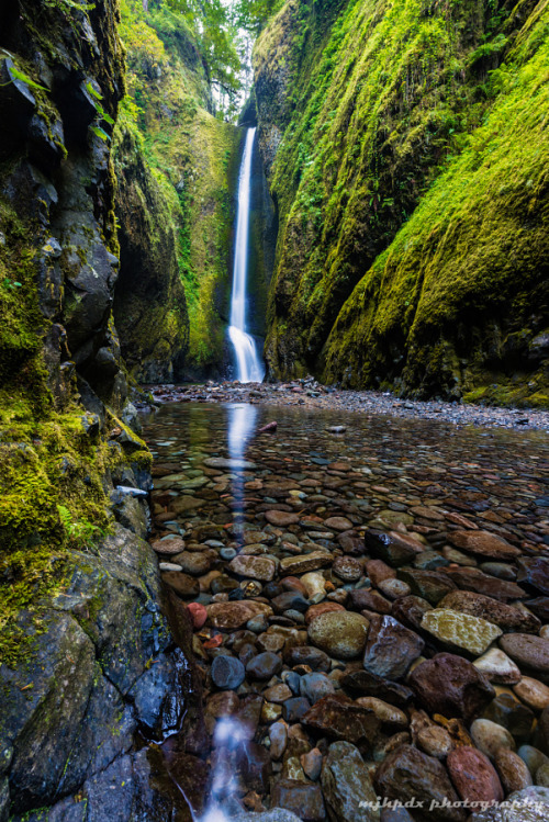 isawatree: Oneonta 4425 by michael horodyski