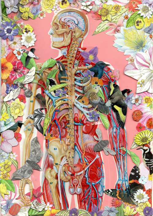 devidsketchbook: ANATOMICAL COLLAGE BY BEN GILES UK, Kingston-based artist Ben Giles (Tumblr&nb