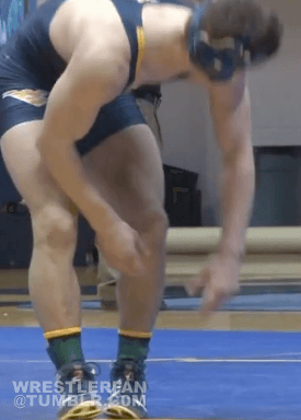 wrestlerfan:  Renzi rulesMore @ http://wrestlerfan.tumblr.com